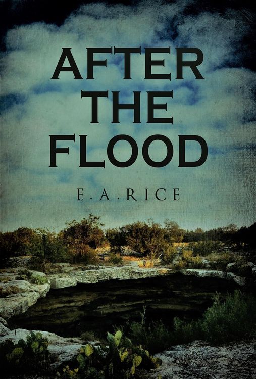 Produktbild: After The Flood