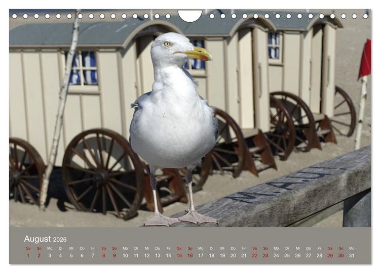 Produktbild: Norderney - Meine Trauminsel (Wandkalender 2026 DIN A4 quer), CALVENDO Monatskalender