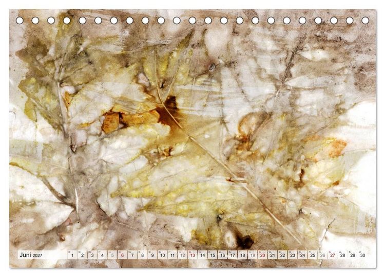 Produktbild: Botanical Printing - Magische Pflanzendrucke (Tischkalender 2027 DIN A5 quer), CALVENDO Monatskalender