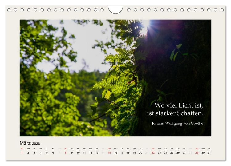 Produktbild: Hirnyoga (Wandkalender 2026 DIN A4 quer), CALVENDO Monatskalender