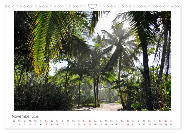 Produktbild: Costa Rica - unterwegs mit Julia Hahn (Wandkalender 2026 DIN A3 quer), CALVENDO Monatskalender