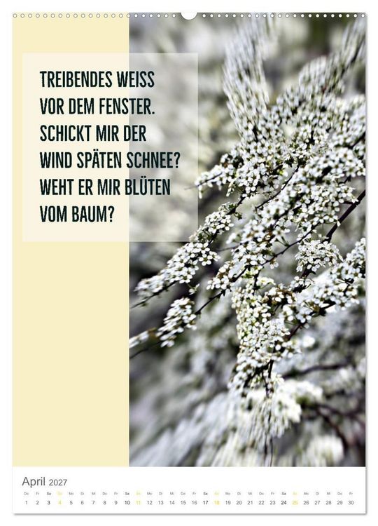 Produktbild: Tagesfarben - Poesie in Wort und Bild (Wandkalender 2027 DIN A2 hoch), CALVENDO Monatskalender