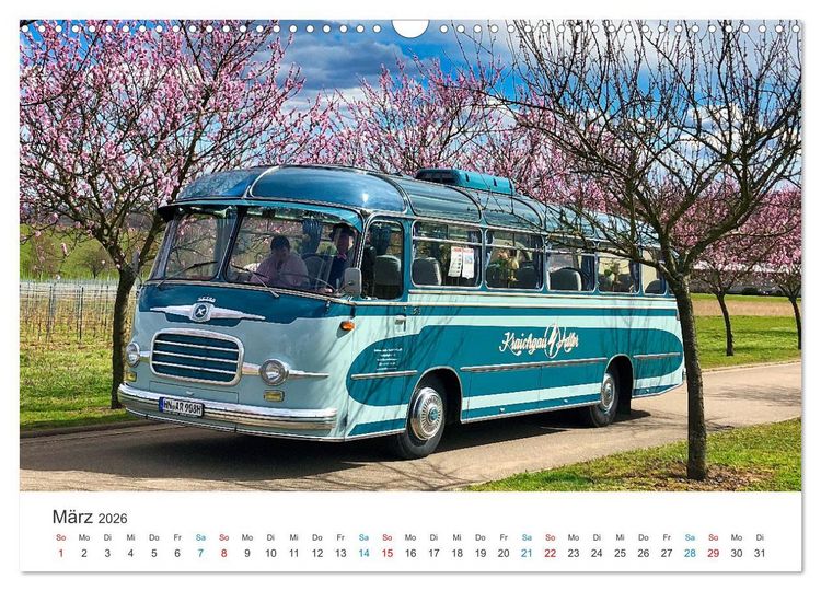 Produktbild: Omnibusse im Fokus (Wandkalender 2026 DIN A3 quer), CALVENDO Monatskalender