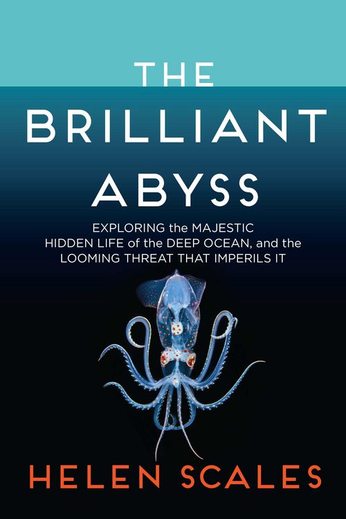 Produktbild: The Brilliant Abyss