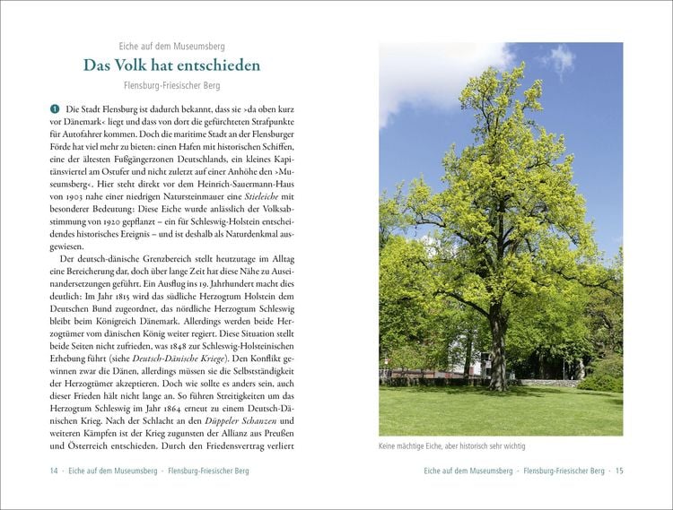 Produktbild: 50 sagenhafte Naturdenkmale in Schleswig-Holstein