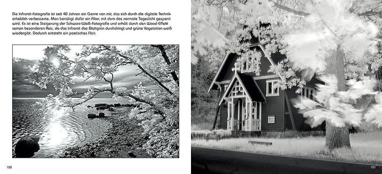 Produktbild: Nackt zwischen Dornen