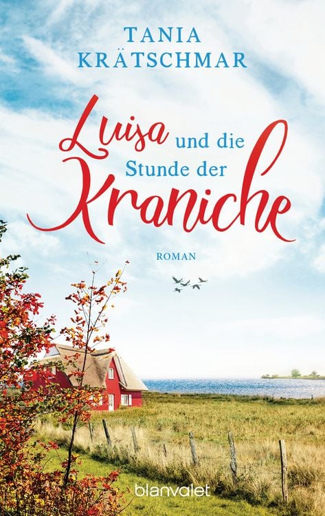 Produktbild: Luisa und die Stunde der Kraniche