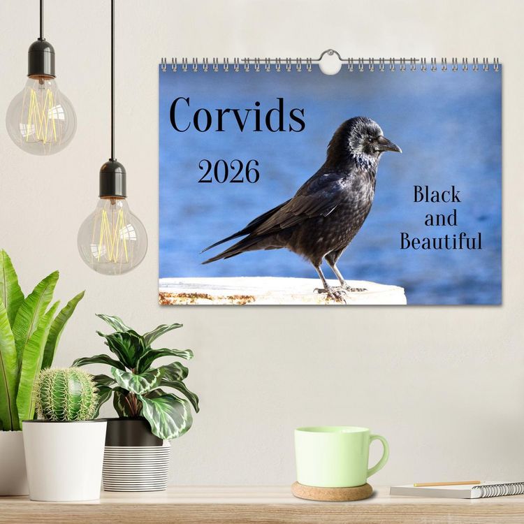 Produktbild: Corvids - Black and Beautiful (Wall Calendar 2026 DIN A4 landscape), CALVENDO 12 Month Wall Calendar