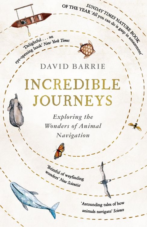 Produktbild: Incredible Journeys