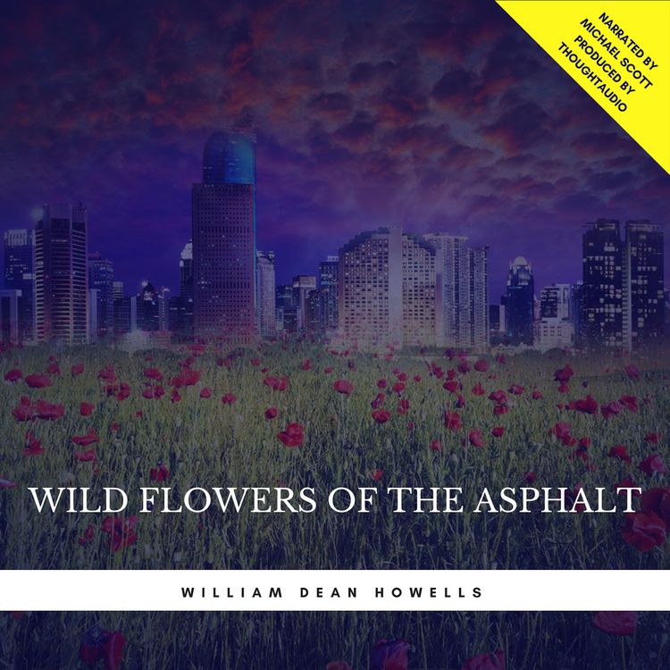 Produktbild: Wild Flowers of the Asphalt