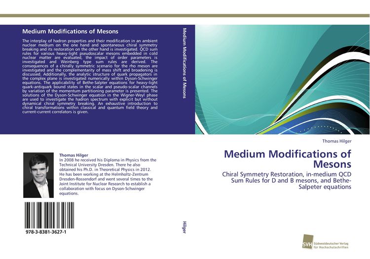 Produktbild: Medium Modifications of Mesons