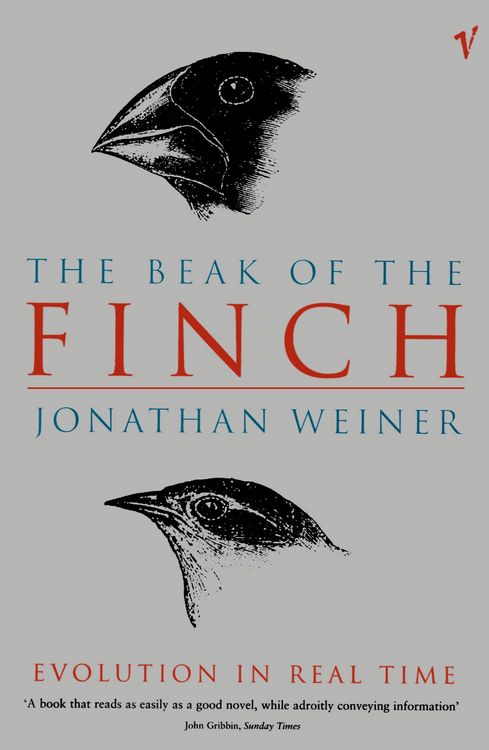 Produktbild: The Beak Of The Finch