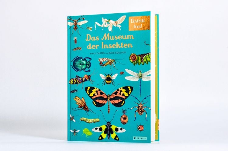 Produktbild: Das Museum der Insekten