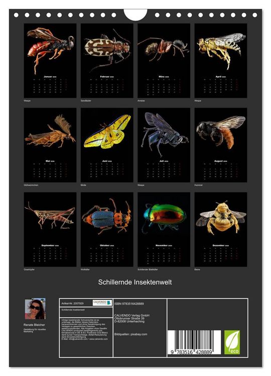 Produktbild: Schillernde Insektenwelt (Wandkalender 2026 DIN A4 hoch), CALVENDO Monatskalender