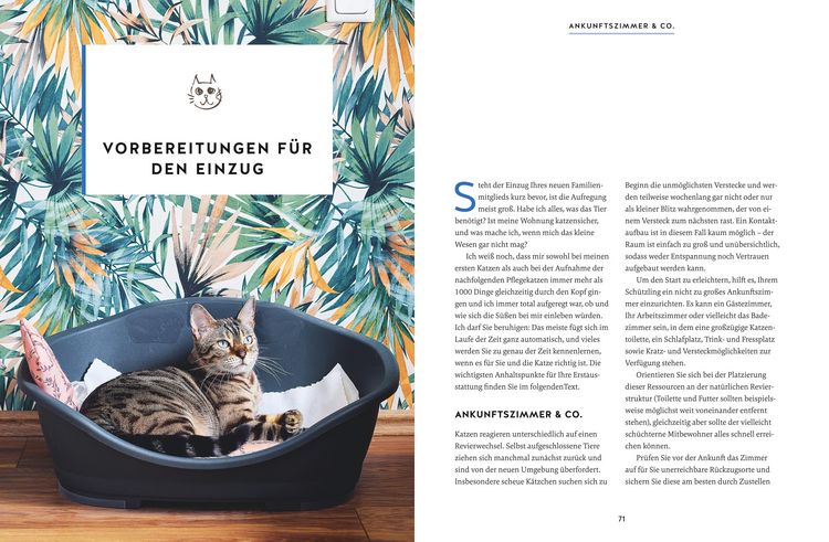 Produktbild: Wie wir Katzen gl&uuml;cklich machen