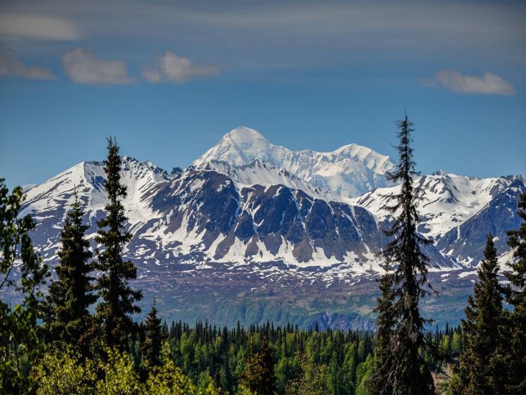Produktbild: CALVENDO Puzzle Im Denali National Park ALASKA | 1000 Teile Lege-Gr&ouml;&szlig;e 64x48cm Foto-Puzzle f&uuml;r gl&uuml;ckliche Stunden