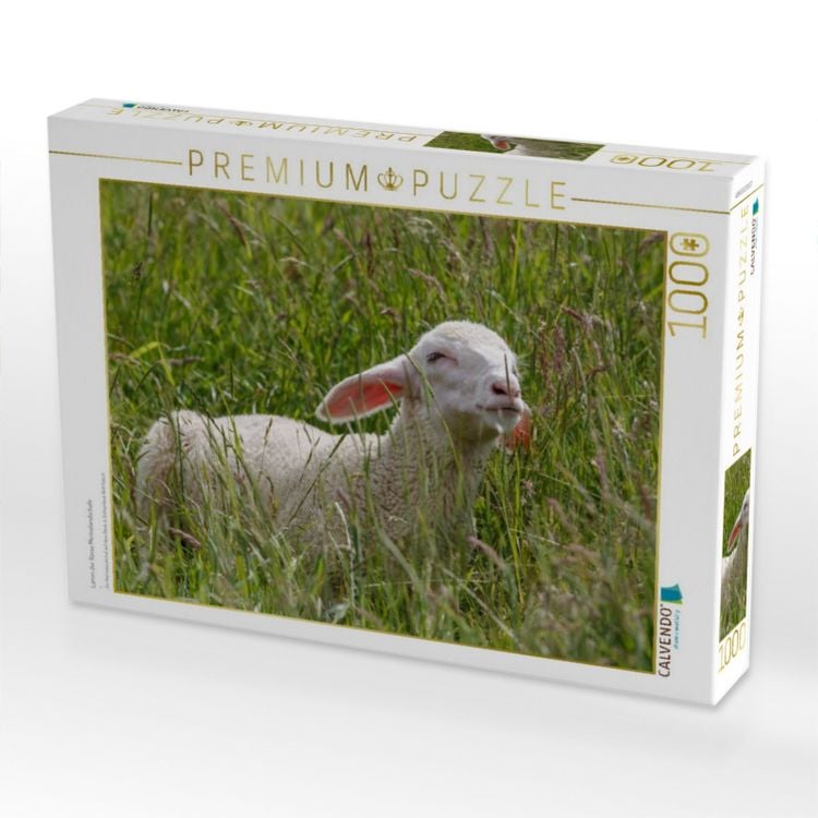 Produktbild: CALVENDO Puzzle Lamm der Rasse Merinolandschafe | 1000 Teile Lege-Gr&ouml;&szlig;e 64x48cm Foto-Puzzle f&uuml;r gl&uuml;ckliche Stunden