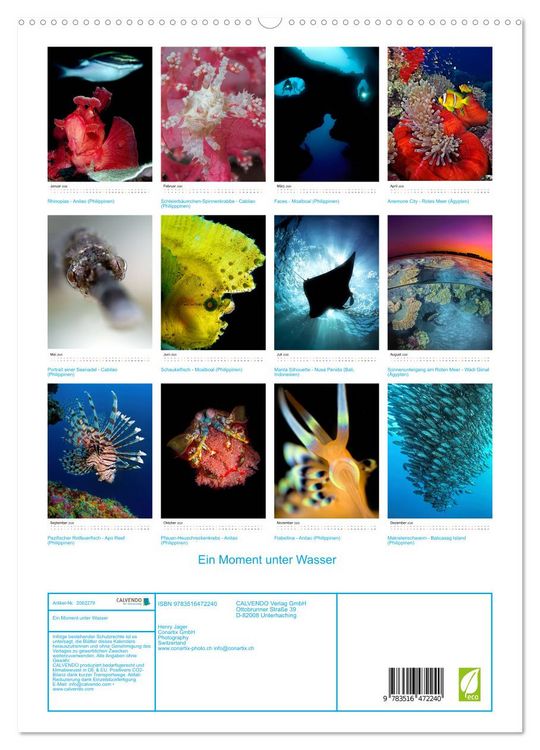 Produktbild: Ein Moment unter Wasser (hochwertiger Premium Wandkalender 2026 DIN A2 hoch), Kunstdruck in Hochglanz