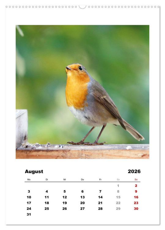 Produktbild: Rotkehlchen, s&uuml;&szlig;e kleine Knutschkugeln (Wandkalender 2026 DIN A2 hoch), CALVENDO Monatskalender