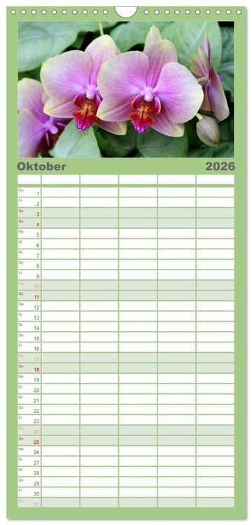 Produktbild: Familienplaner 2026 - Pr&auml;chtige Orchideen mit 5 Spalten (Wandkalender, 21 x 45 cm) CALVENDO