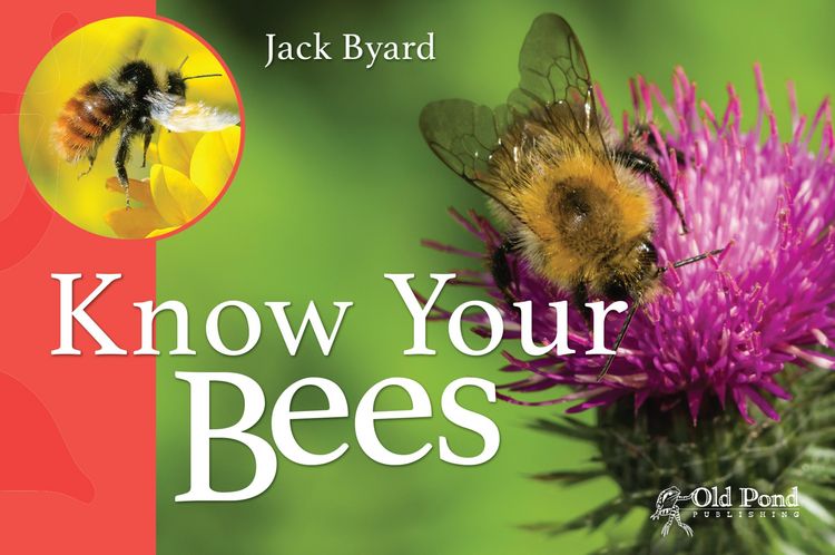 Produktbild: Know Your Bees
