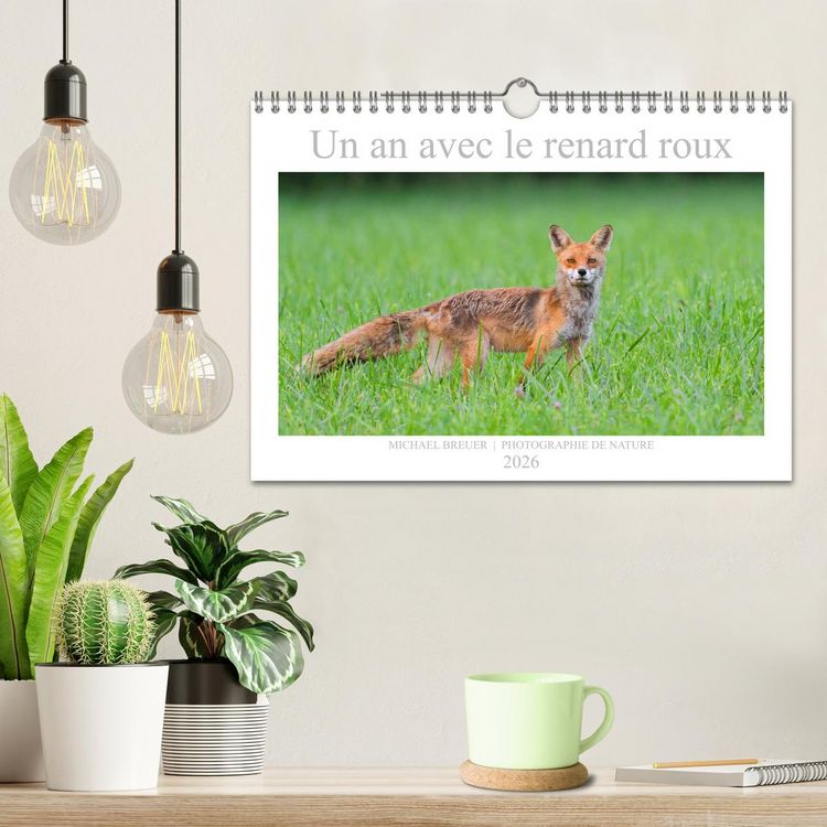 Produktbild: Un an avec le renard roux (Calendrier mural 2026 DIN A4 vertical), CALVENDO calendrier mensuel