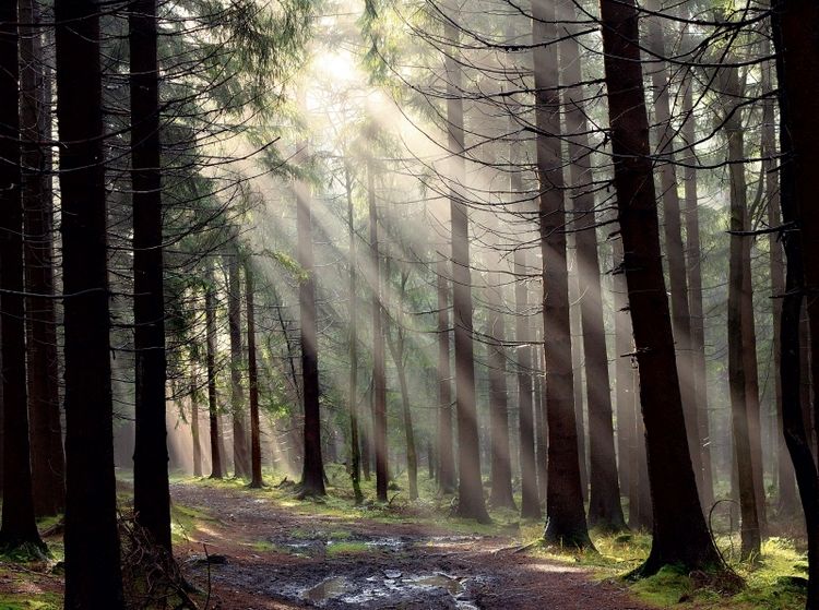 Produktbild: CALVENDO Puzzle Nach dem Regen, Erzgebirge | 2000 Teile Lege-Gr&ouml;&szlig;e 90x67cm Foto-Puzzle f&uuml;r gl&uuml;ckliche Stunden