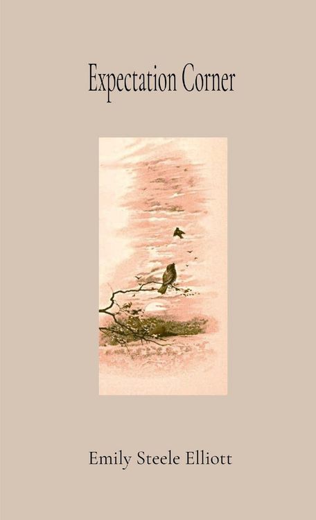 Produktbild: Expectation Corner Annotated Gift Edition