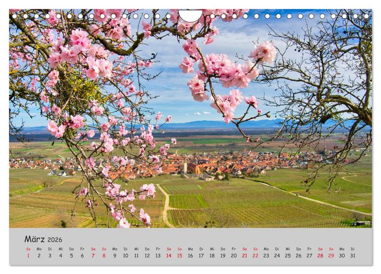 Produktbild: Region Elsass und Vogesen (Wandkalender 2026 DIN A4 quer), CALVENDO Monatskalender