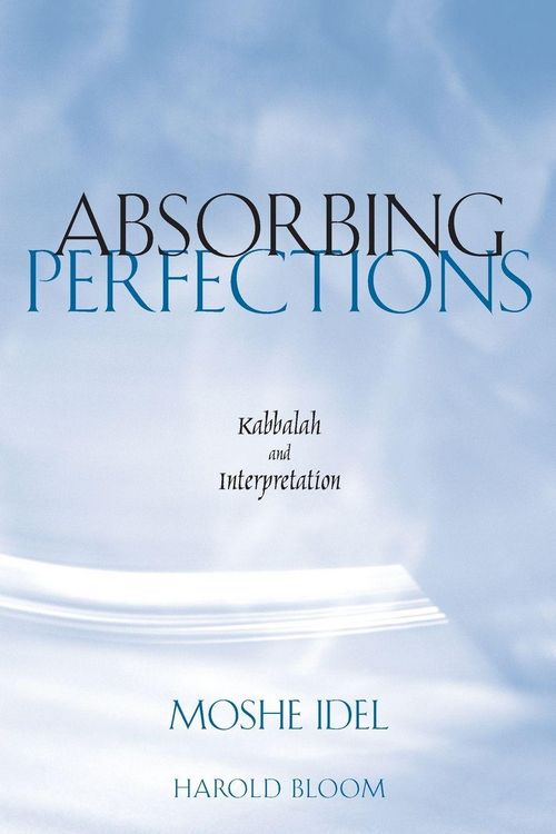 Produktbild: Absorbing Perfections