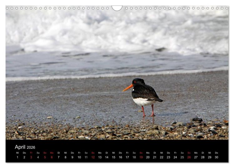 Produktbild: Helgoland (Wandkalender 2026 DIN A3 quer), CALVENDO Monatskalender