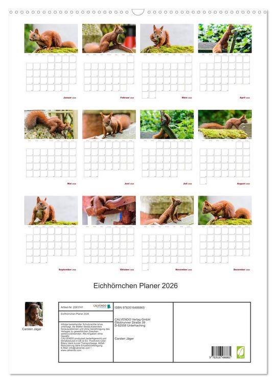 Produktbild: Eichh&ouml;rnchen Planer 2026 (Wandkalender 2026 DIN A2 hoch), CALVENDO Monatskalender