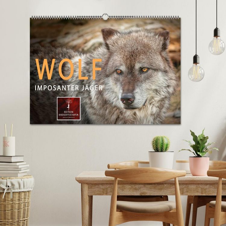 Produktbild: Wolf - Imposanter J&auml;ger (Wandkalender 2026 DIN A2 quer), CALVENDO Monatskalender