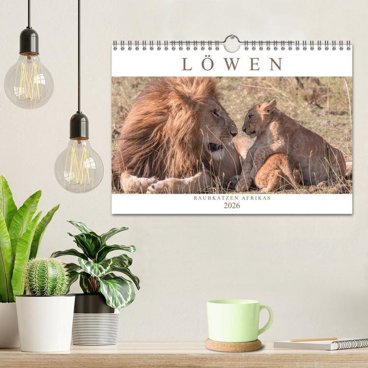 Produktbild: L&ouml;wen - Raubkatzen Afrikas (Wandkalender 2026 DIN A4 quer), CALVENDO Monatskalender