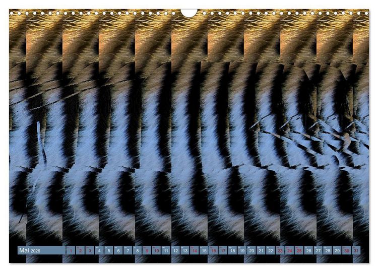 Produktbild: Magische Bilder - fantastische Stereogramme (Wandkalender 2026 DIN A3 quer), CALVENDO Monatskalender
