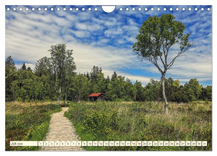 Produktbild: Moor und Riedlandschaften im S&uuml;dwesten (Wandkalender 2026 DIN A4 quer), CALVENDO Monatskalender