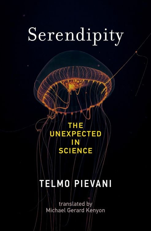 Produktbild: Serendipity