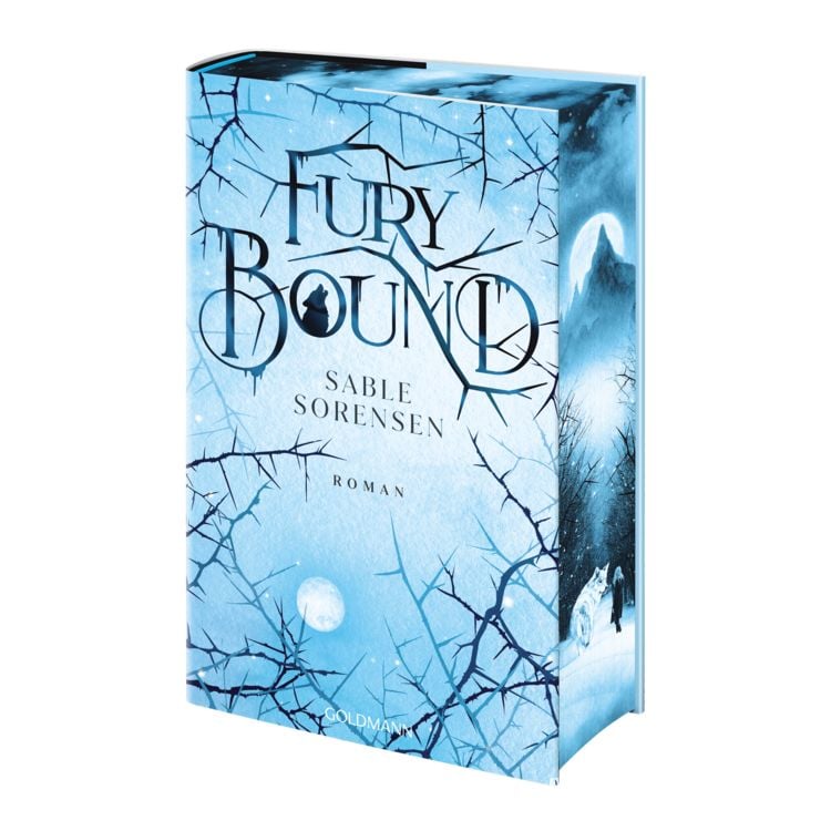 Produktbild: Fury Bound