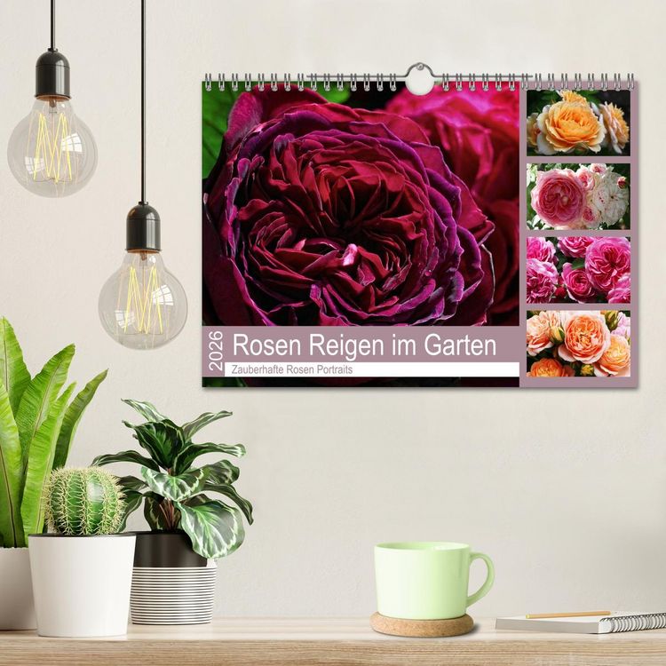 Produktbild: Rosen Reigen im Garten (Wandkalender 2026 DIN A4 quer), CALVENDO Monatskalender