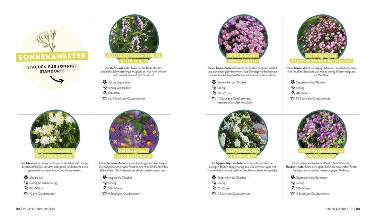 Produktbild: Keine Zeit zu g&auml;rtnern &ndash; Blumenparadies mit wenig Aufwand