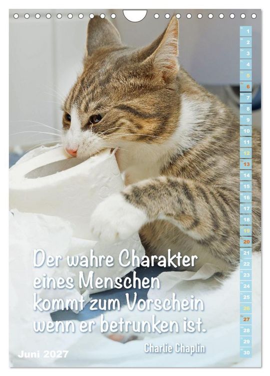 Produktbild: Der literarische Katerkalender (Wandkalender 2027 DIN A4 hoch), CALVENDO Monatskalender