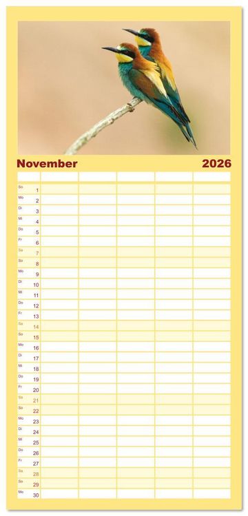 Produktbild: Familienplaner 2026 - Bunte Flieger mit 5 Spalten (Wandkalender, 21 x 45 cm) CALVENDO