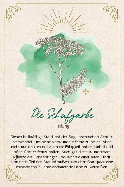 Produktbild: Orakel-Karten-Box: Naturmomente f&uuml;r deine Seele: Nutze die Kraft der gr&uuml;nen Magie