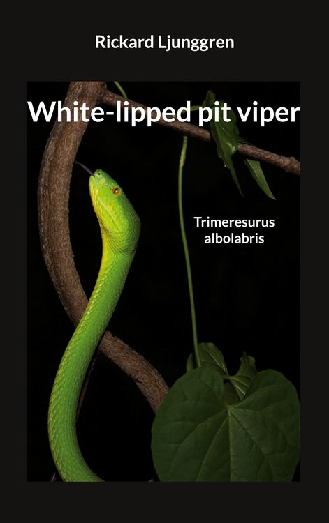 Produktbild: White-lipped pit viper