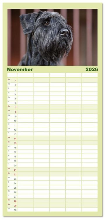 Produktbild: Familienplaner 2026 - Mit dem Riesenschnauzer durch das Jahr mit 5 Spalten (Wandkalender, 21 x 45 cm) CALVENDO