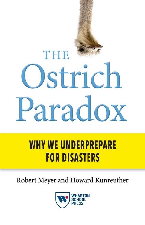 Produktbild: The Ostrich Paradox