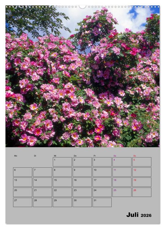 Produktbild: Rosen - Symbol der Liebe und Verehrung (Wandkalender 2026 DIN A2 hoch), CALVENDO Monatskalender