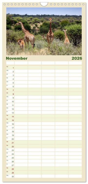 Produktbild: Familienplaner 2026 - Roadtrip in Namibia mit 5 Spalten (Wandkalender, 21 x 45 cm) CALVENDO