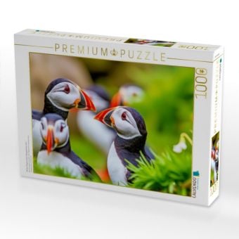 Produktbild: CALVENDO Puzzle Mit der Eleganz eines Papageientauchers. | 1000 Teile Lege-Gr&ouml;&szlig;e 64x48cm Foto-Puzzle f&uuml;r gl&uuml;ckliche Stunden