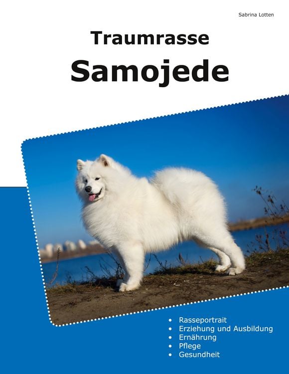 Produktbild: Traumrasse Samojede